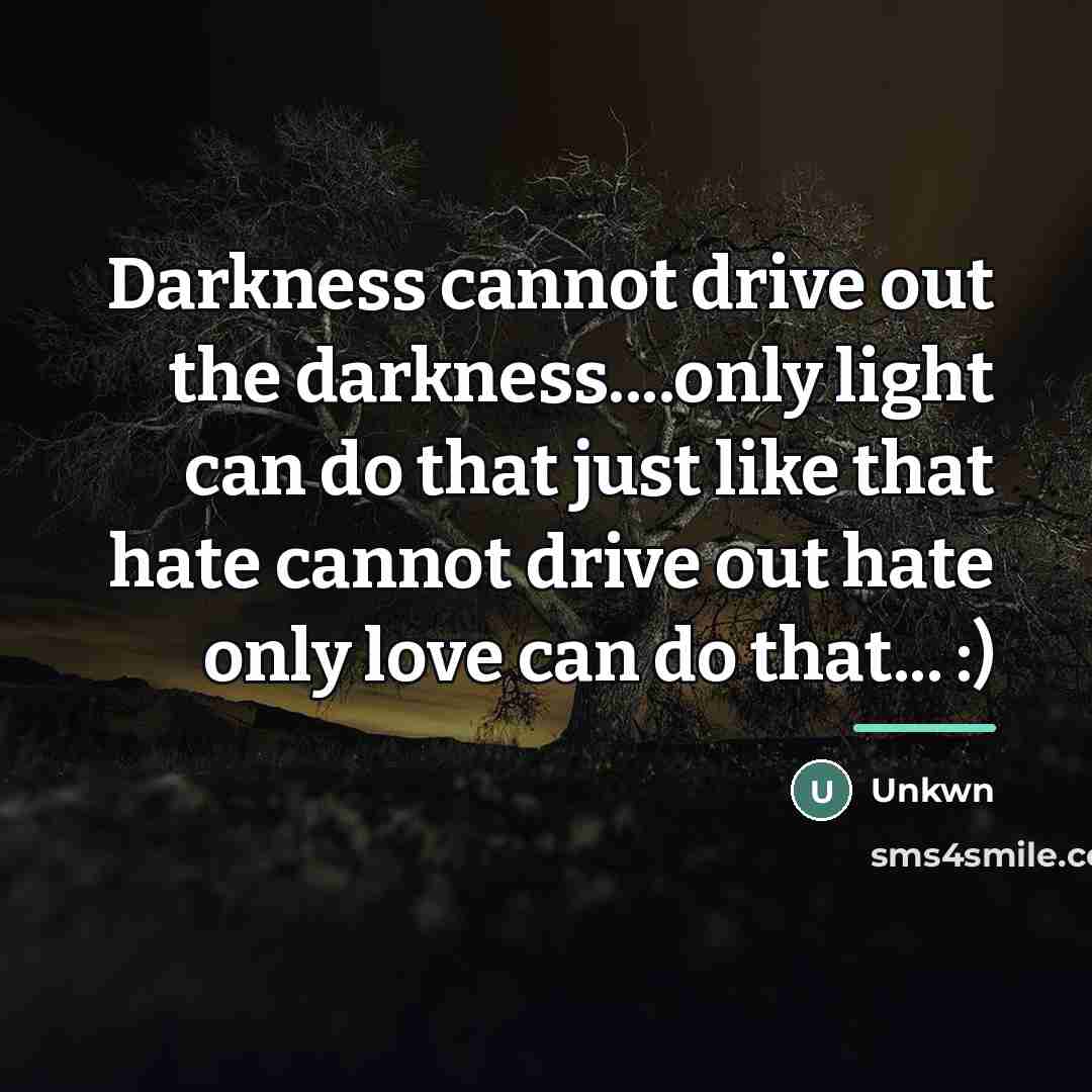 “Darkness cannot drive out the darkness....only light can do that…” quote by Anonymous