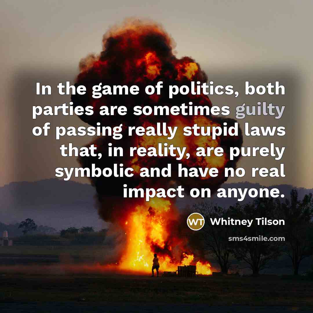 “In the game of politics, both parties are sometimes guilty…” quote by Whitney Tilson