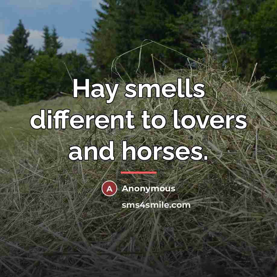 “Hay smells different to lovers and horses.…” quote by Anonymous