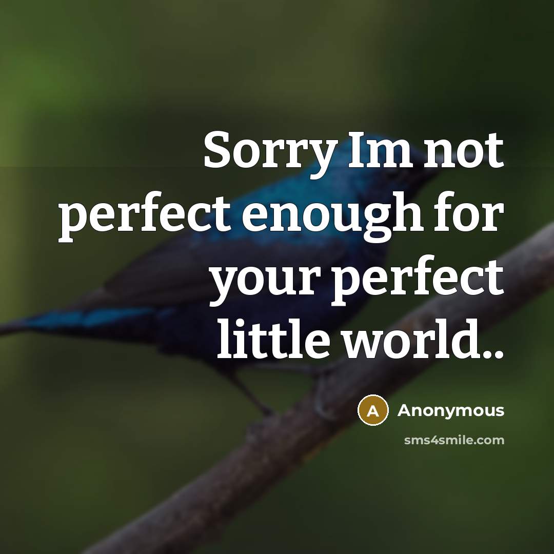 “Sorry Im not perfect enough for your perfect little world..” quote by Anonymous