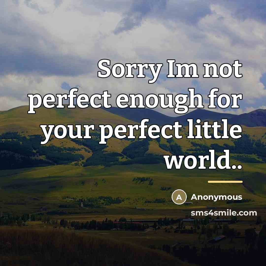 “Sorry Im not perfect enough for your perfect little world..…” quote by Anonymous