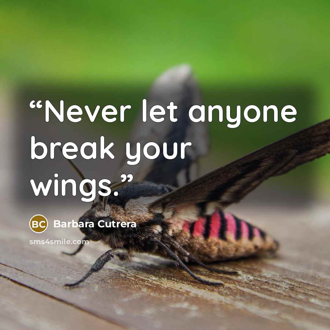 “Never let anyone break your wings.” quote by Barbara Cutrera