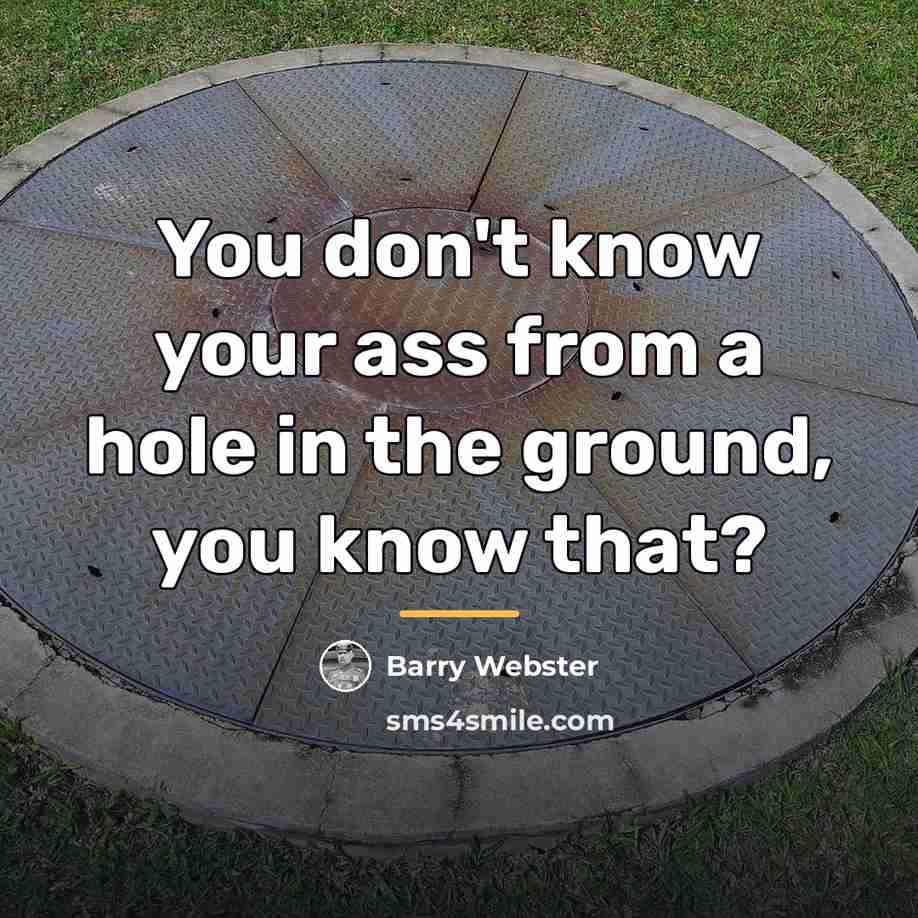 “You don't know your ass from a hole in the…” quote by Barry Webster