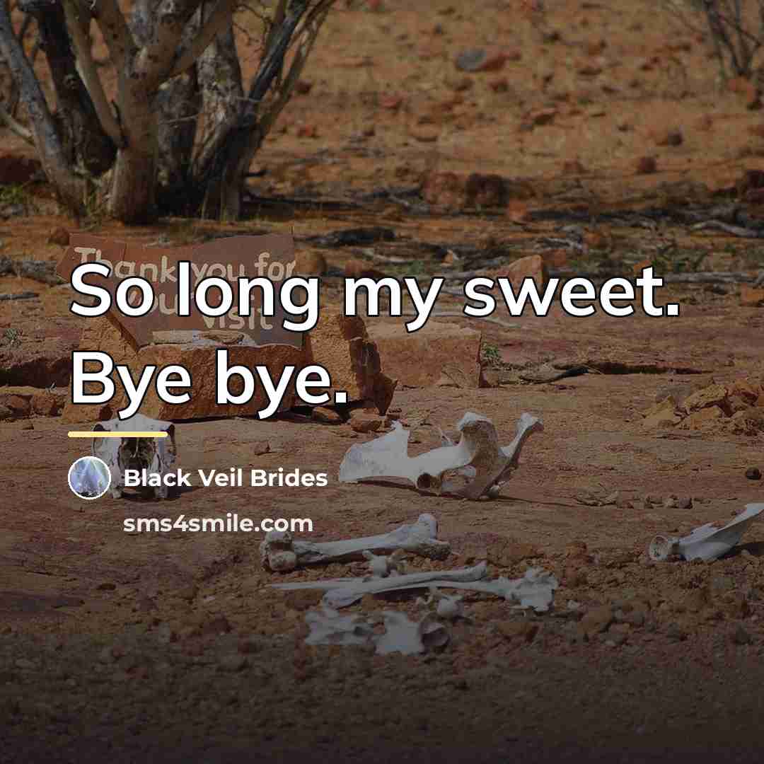 “So long my sweet. Bye bye.…” quote by Black Veil Brides