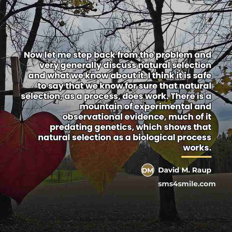 “Now let me step back from the problem and very…” quote by David M. Raup