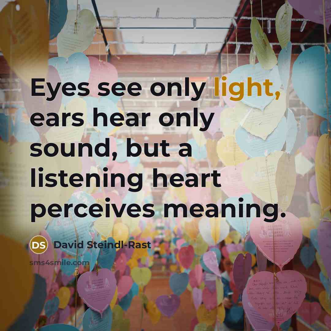“Eyes see only light, ears hear only sound, but a…” quote by David Steindl-Rast