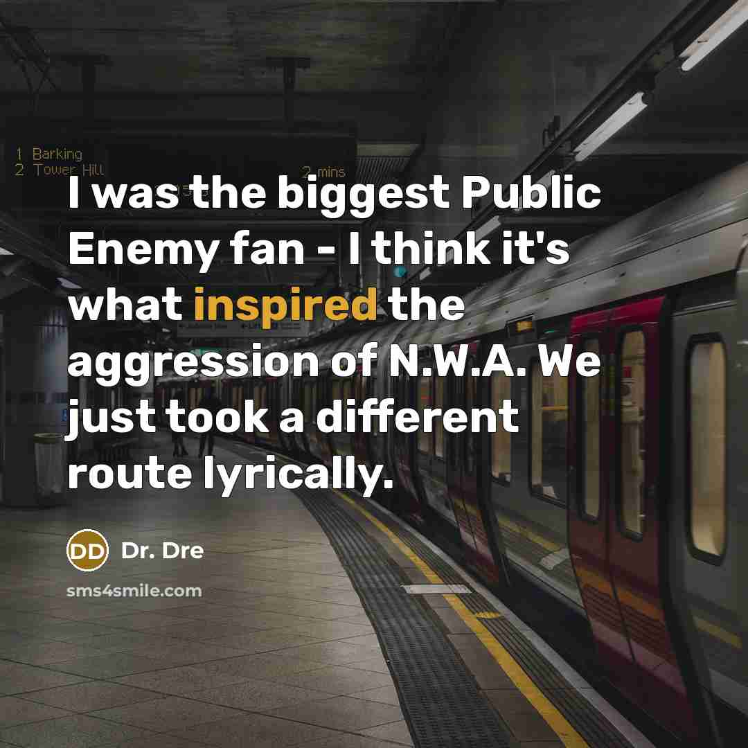 “I was the biggest Public Enemy fan - I think…” quote by Dr. Dre