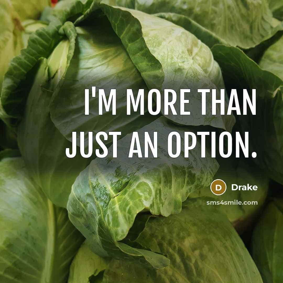 “I'm more than just an option.…” quote by Drake