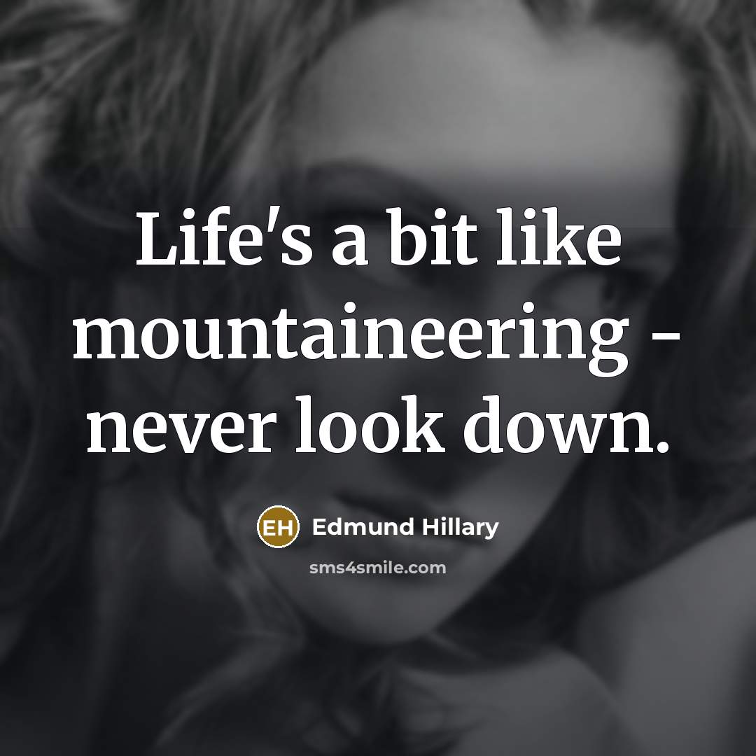 “Life's a bit like mountaineering - never look down.…” quote by Edmund Hillary