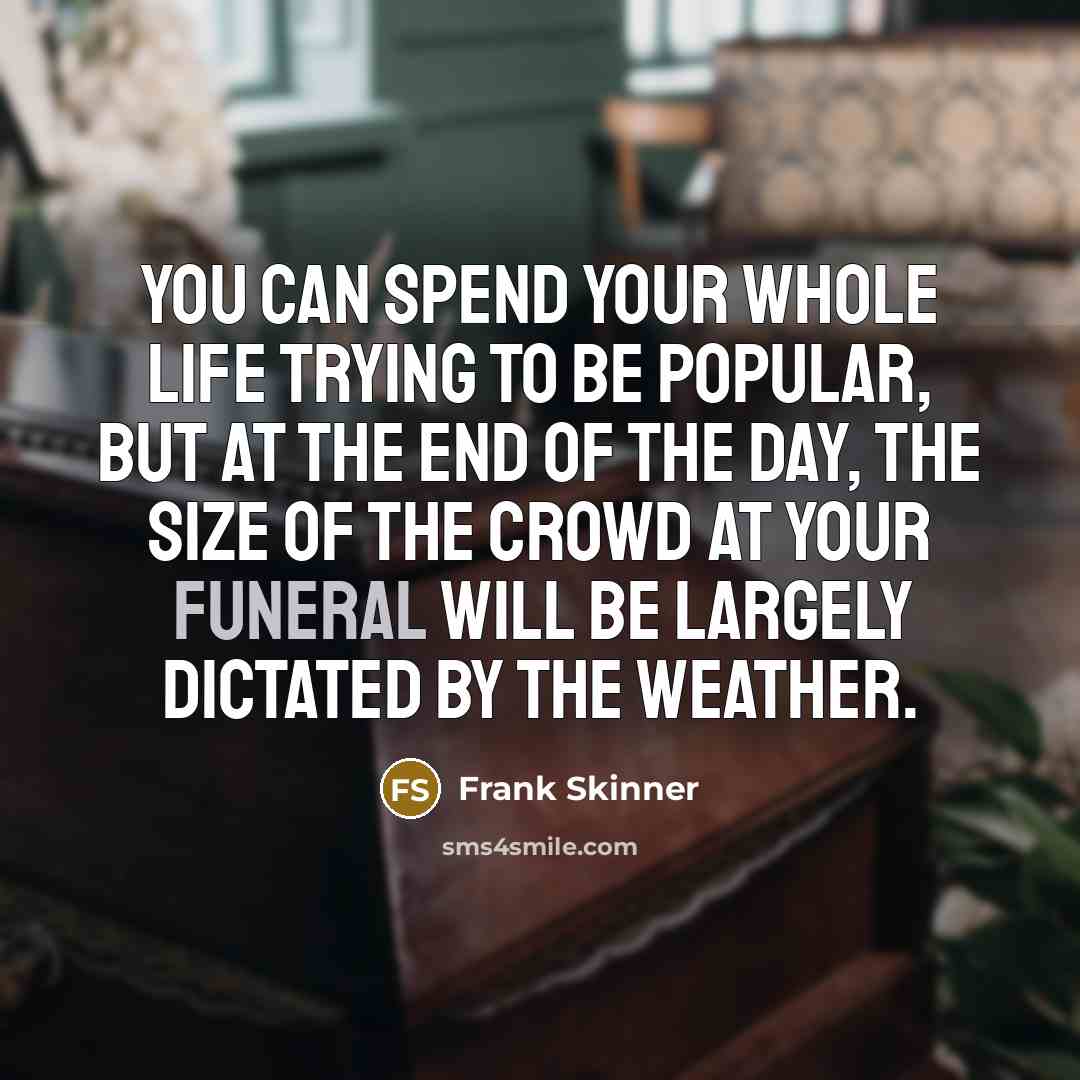 “You can spend your whole life trying to be popular,…” quote by Frank Skinner