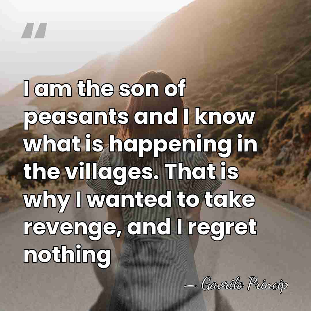 I am the son of peasants and I know what is happening&hellip; - Gavrilo Princip