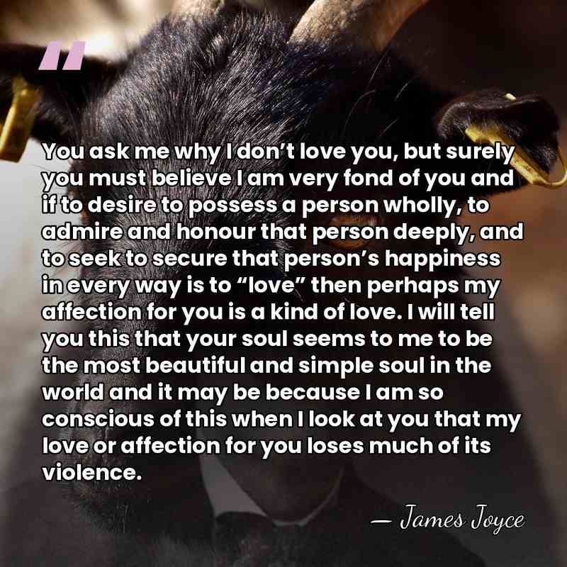 You ask me why I don’t love you, but surely you must&hellip; - James Joyce
