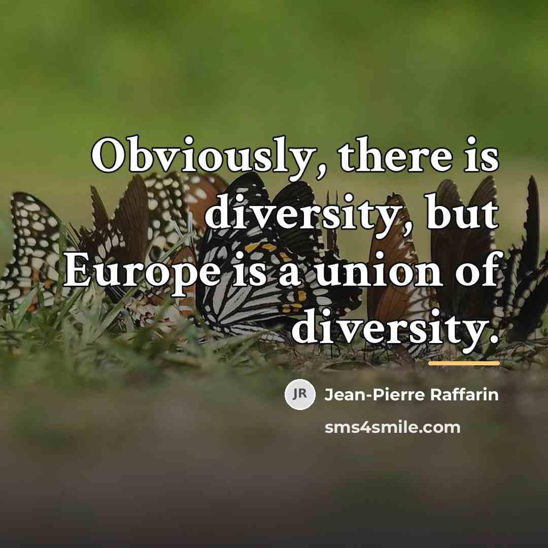 “Obviously, there is diversity, but Europe is a union of…” quote by Jean-Pierre Raffarin