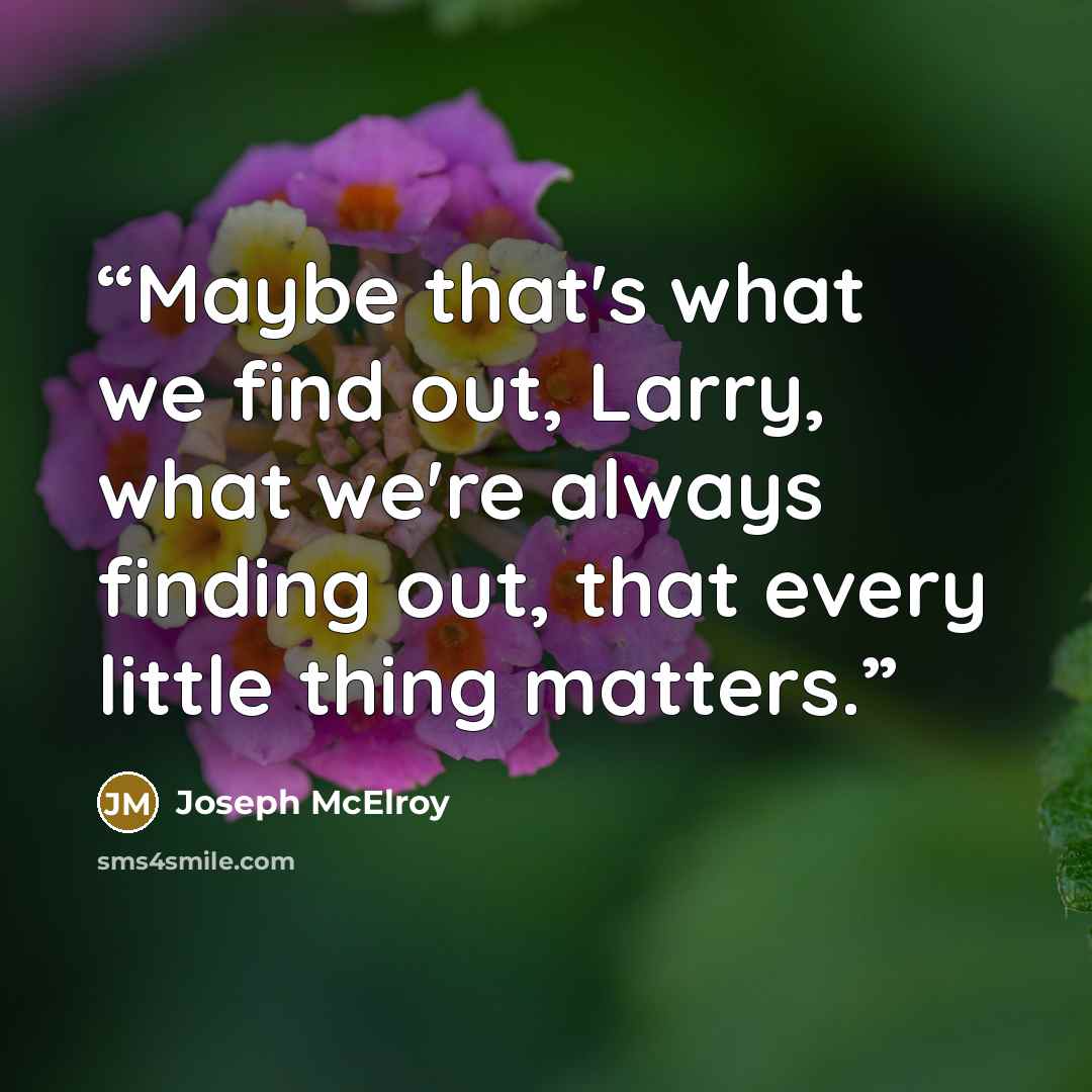 “Maybe that's what we find out, Larry, what we're always finding out, that every little thing matters.” quote by Joseph McElroy