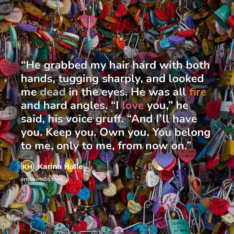 “He grabbed my hair hard with both hands, tugging sharply, and looked me dead in the eyes. He was all fire and hard angles. “I love you,” he said, his voice gruff. “And I’ll have you. Keep you. Own you. You belong to me, only to me, from now on.” quote by Karina Halle