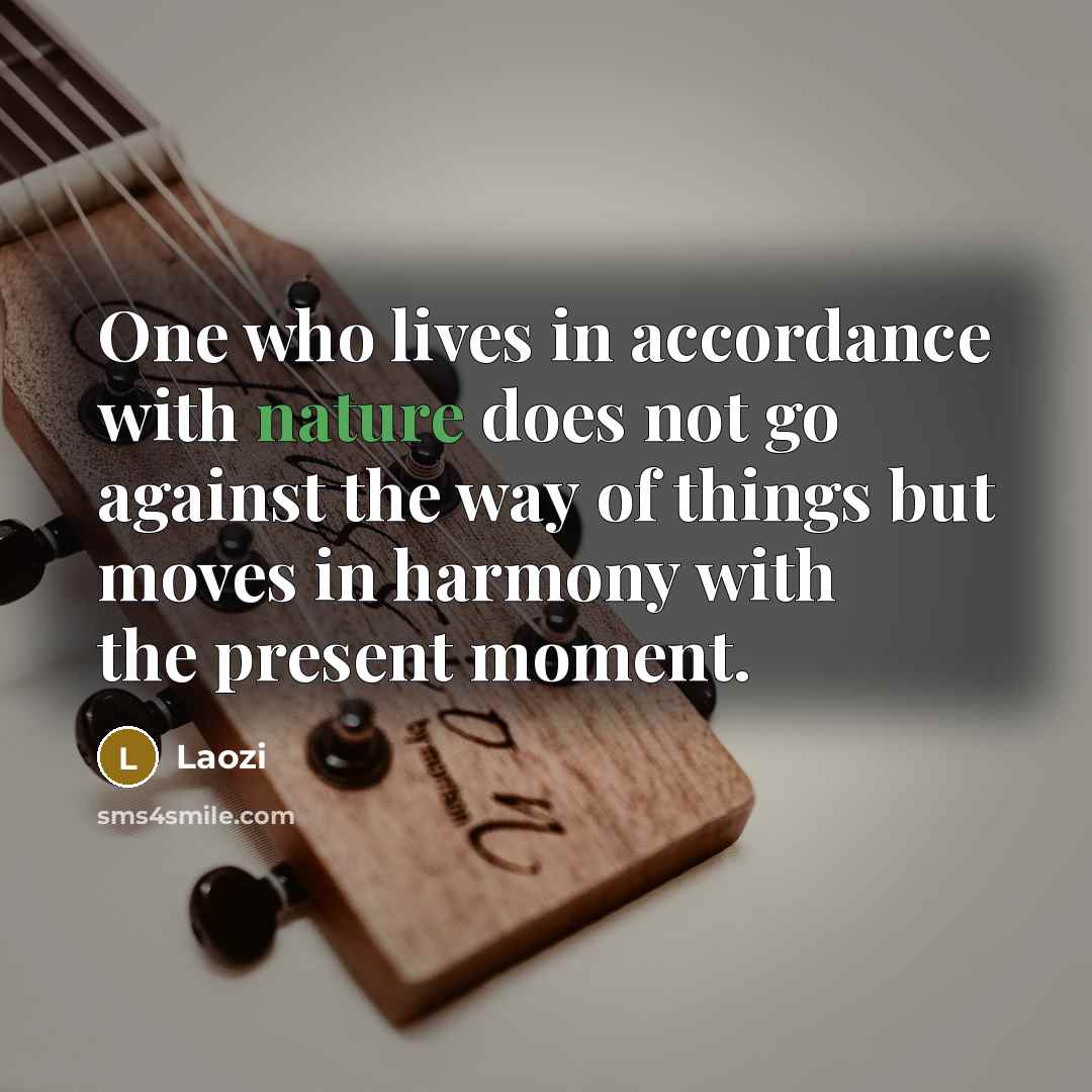 “One who lives in accordance with nature does not go…” quote by Laozi