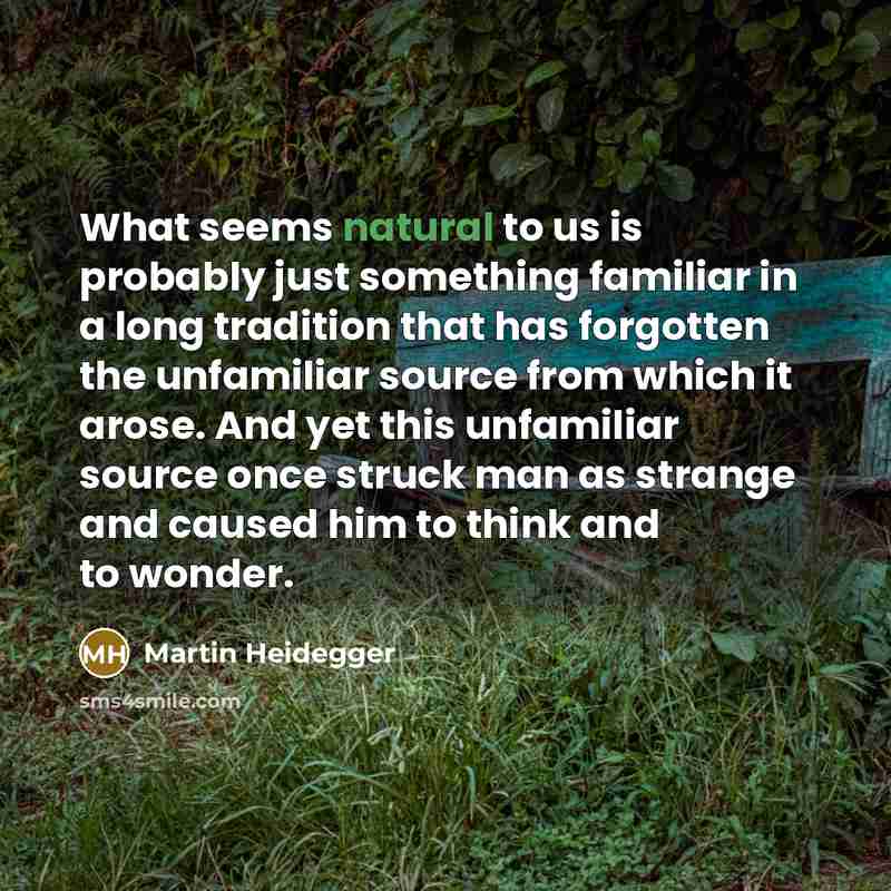 “What seems natural to us is probably just something familiar…” quote by Martin Heidegger
