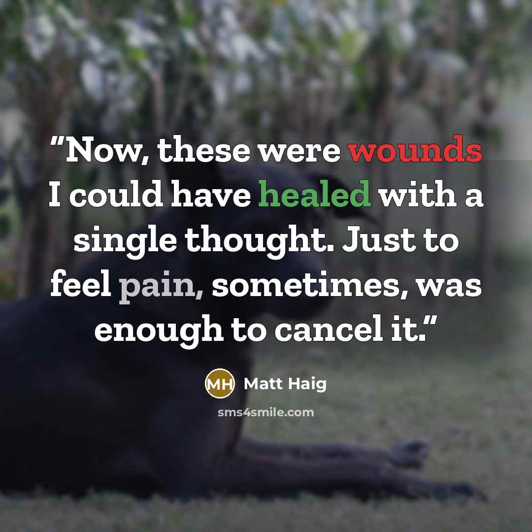 “Now, these were wounds I could have healed with a single thought. Just to feel pain, sometimes, was enough to cancel it.” quote by Matt Haig