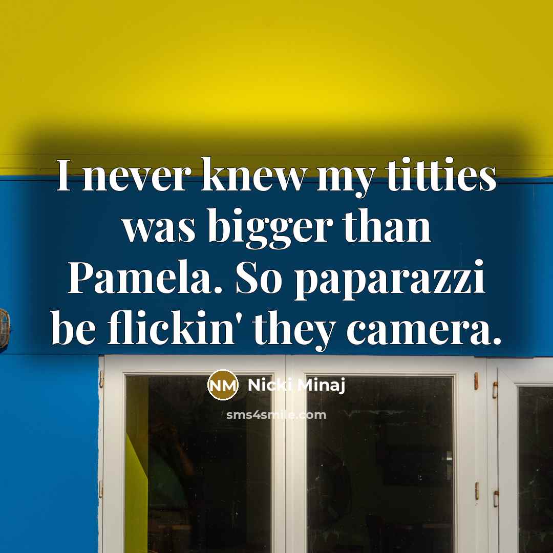 “I never knew my titties was bigger than Pamela. So paparazzi be flickin' they camera.” quote by Nicki Minaj