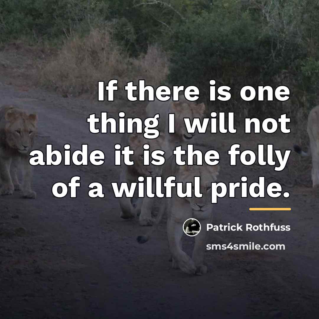 “If there is one thing I will not abide it…” quote by Patrick Rothfuss