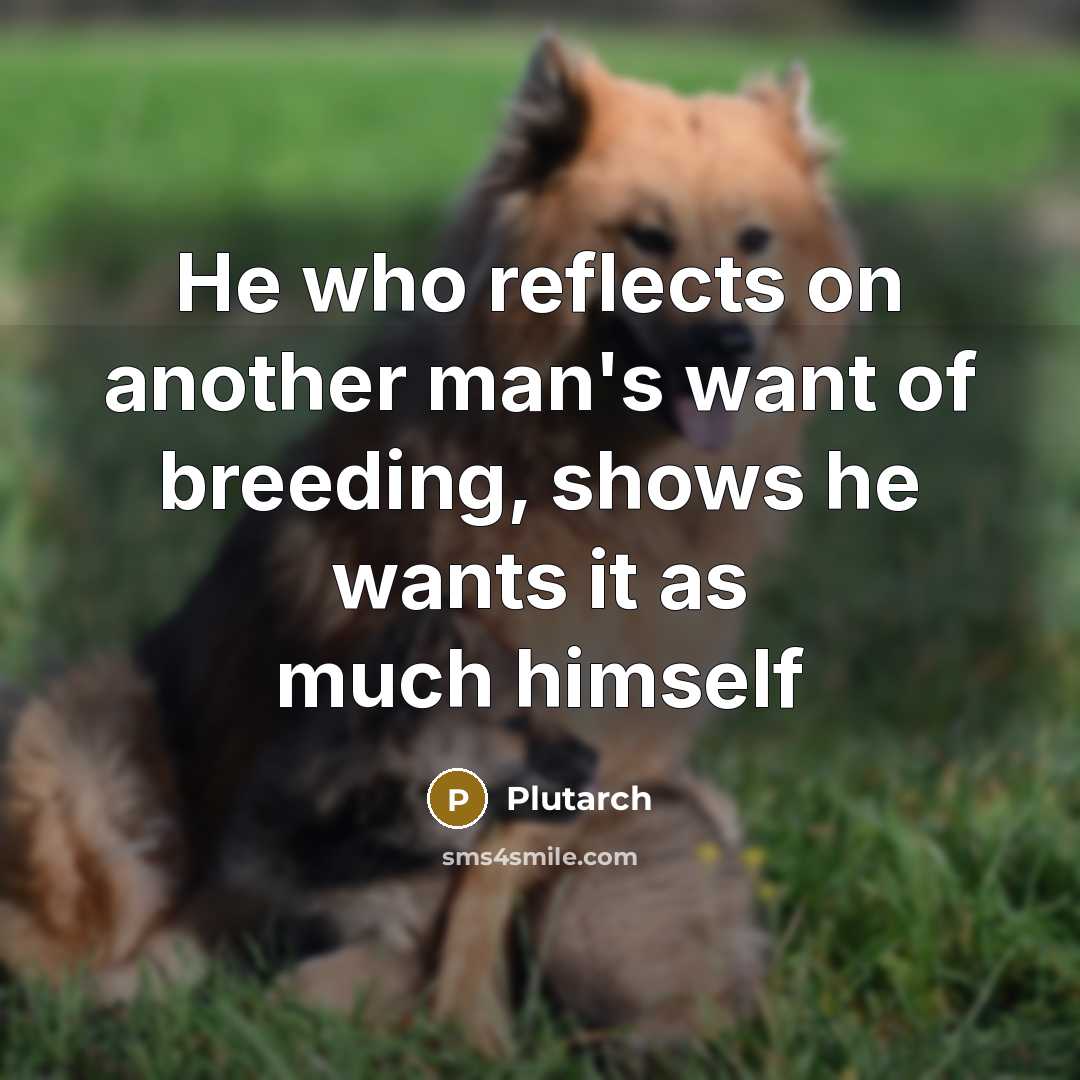 “He who reflects on another man's want of breeding, shows…” quote by Plutarch