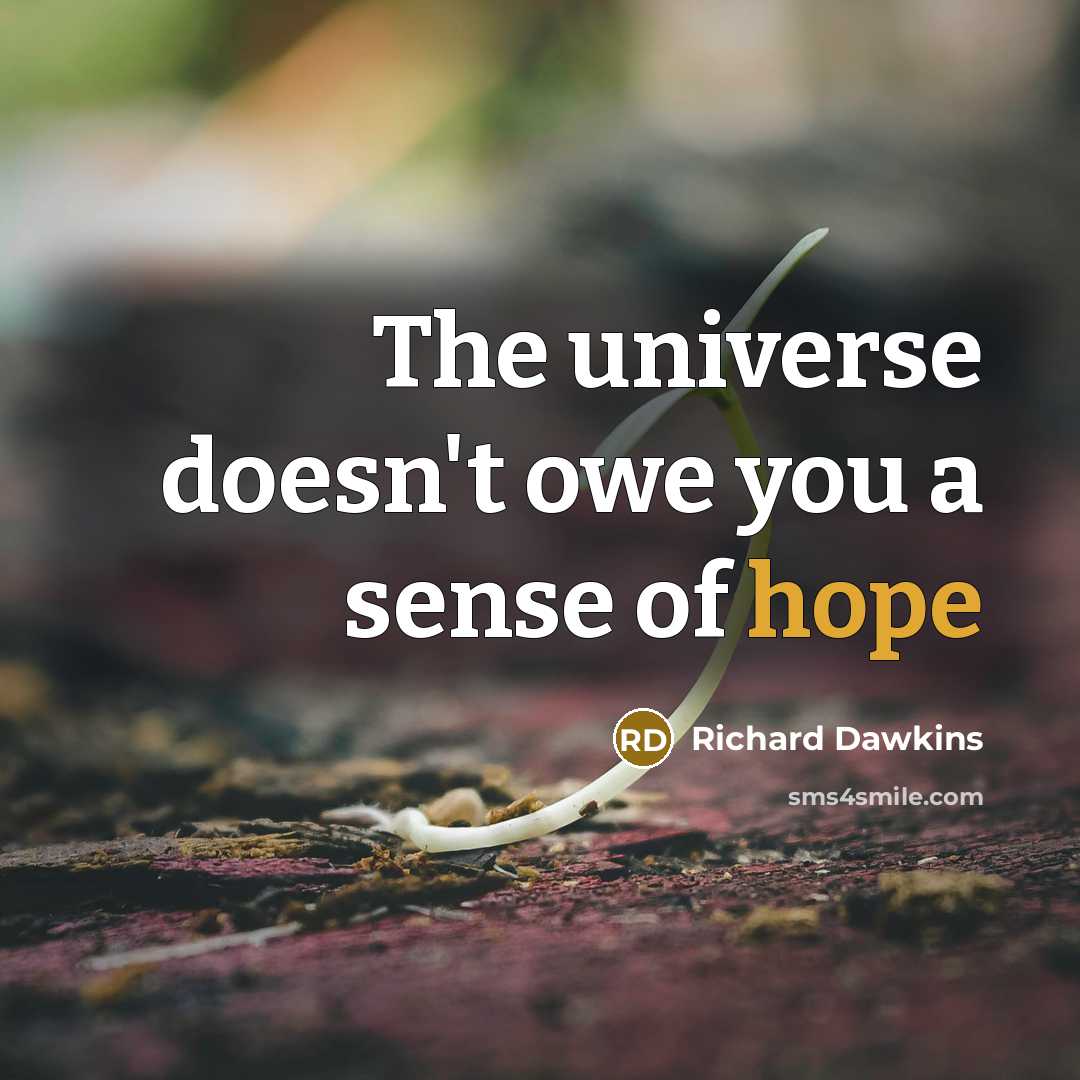 “The universe doesn't owe you a sense of hope…” quote by Richard Dawkins