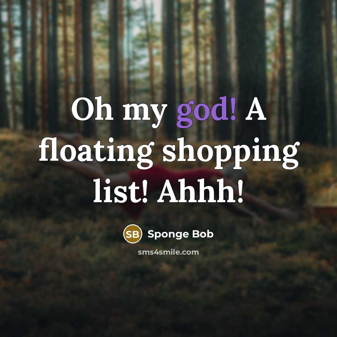 “Oh my god! A floating shopping list! Ahhh!” quote by Sponge Bob