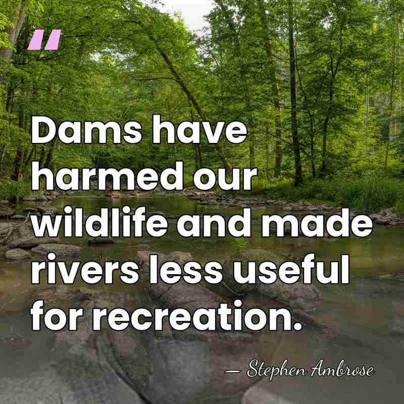 Dams have harmed our wildlife and made rivers less useful for recreation. - Stephen Ambrose