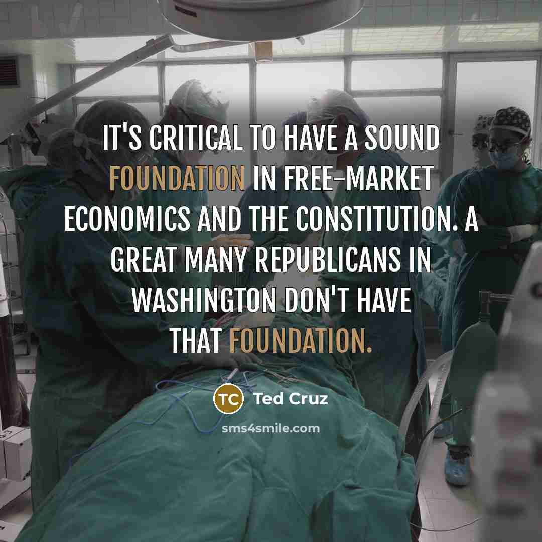 “It's critical to have a sound foundation in free-market economics…” quote by Ted Cruz