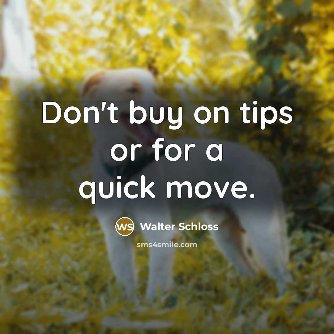 “Don't buy on tips or for a quick move.…” quote by Walter Schloss