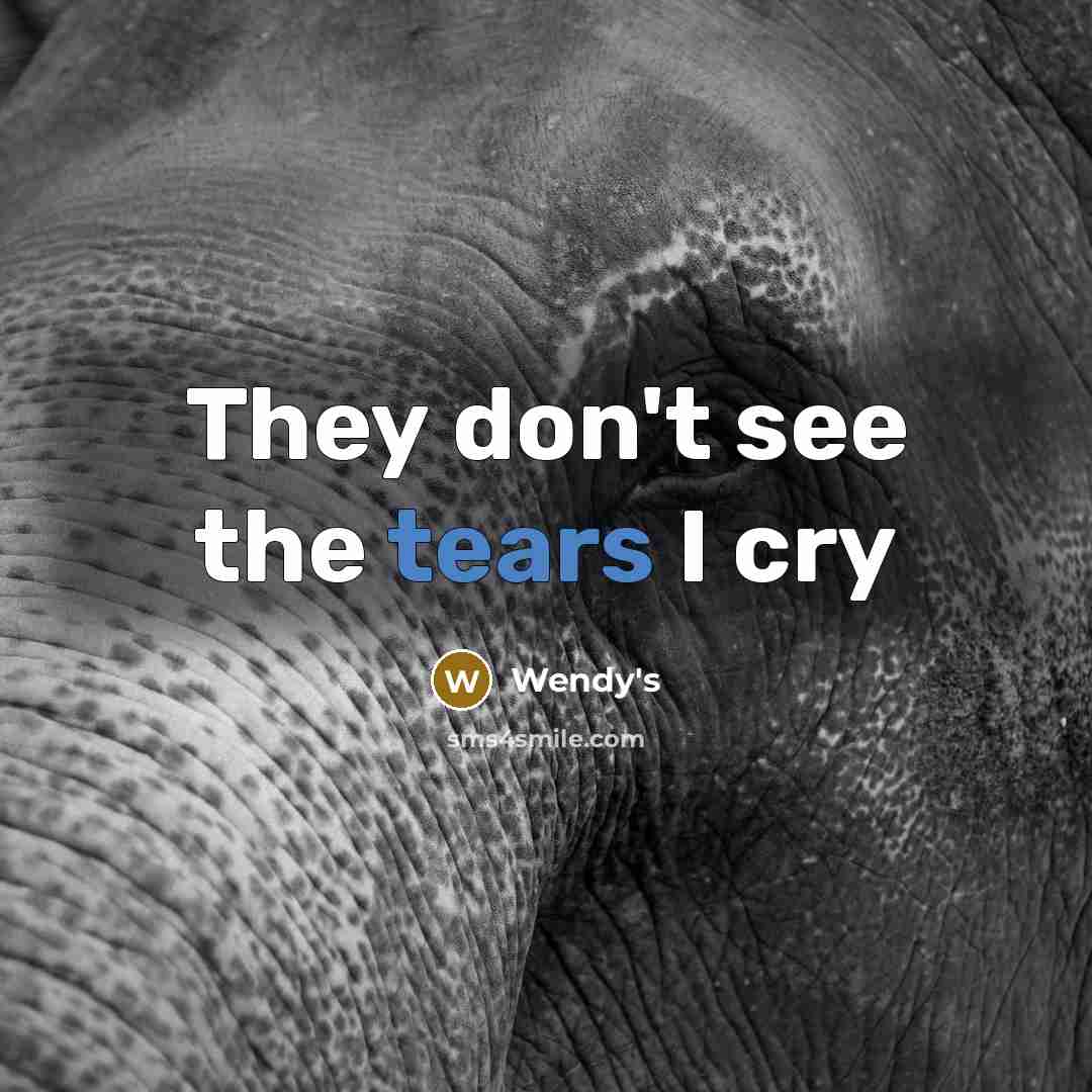 “They don't see the tears I cry…” quote by Wendy's