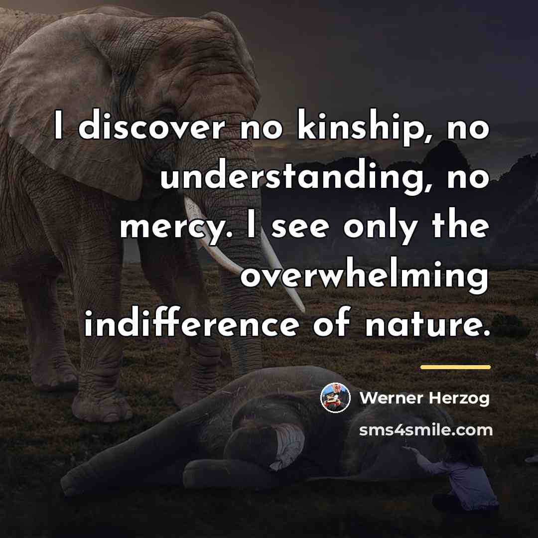“I discover no kinship, no understanding, no mercy. I see…” quote by Werner Herzog