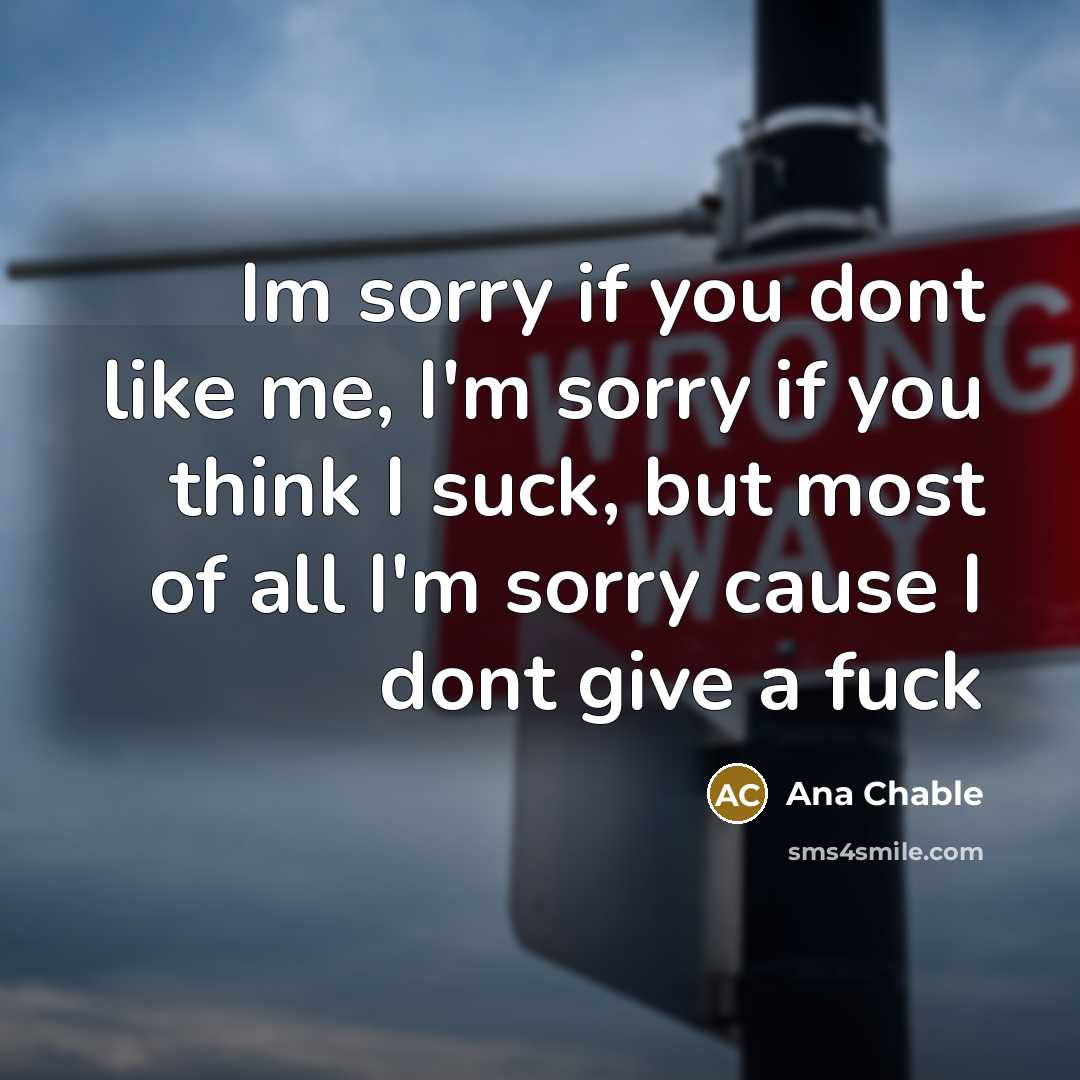 “Im sorry if you dont like me, I'm sorry if…” quote by Ana Chable