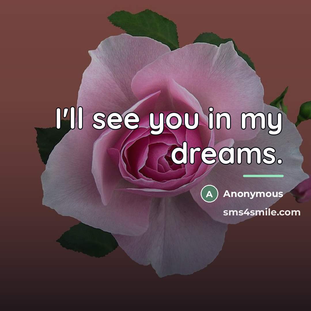 “I'll see you in my dreams.…” quote by Anonymous