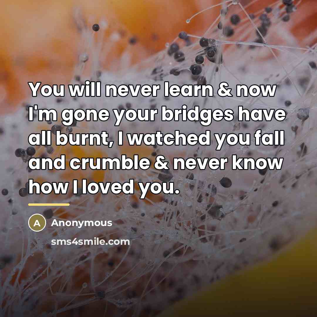 “You will never learn & now I'm gone your bridges…” quote by Anonymous