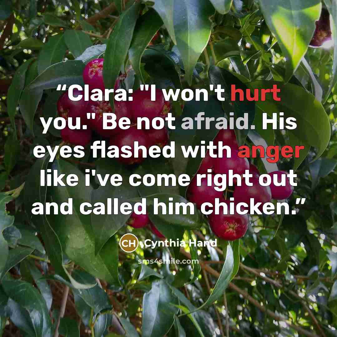 “Clara: "I won't hurt you." Be not afraid. His eyes flashed with anger like i've come right out and called him chicken.” quote by Cynthia Hand