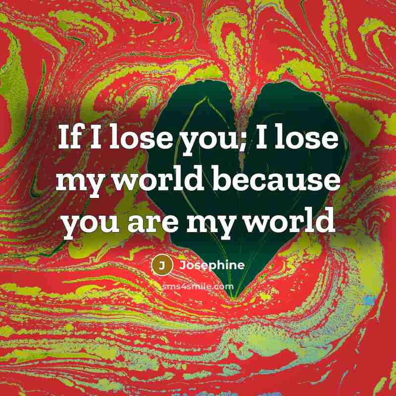 “If I lose you; I lose my world because you…” quote by Josephine