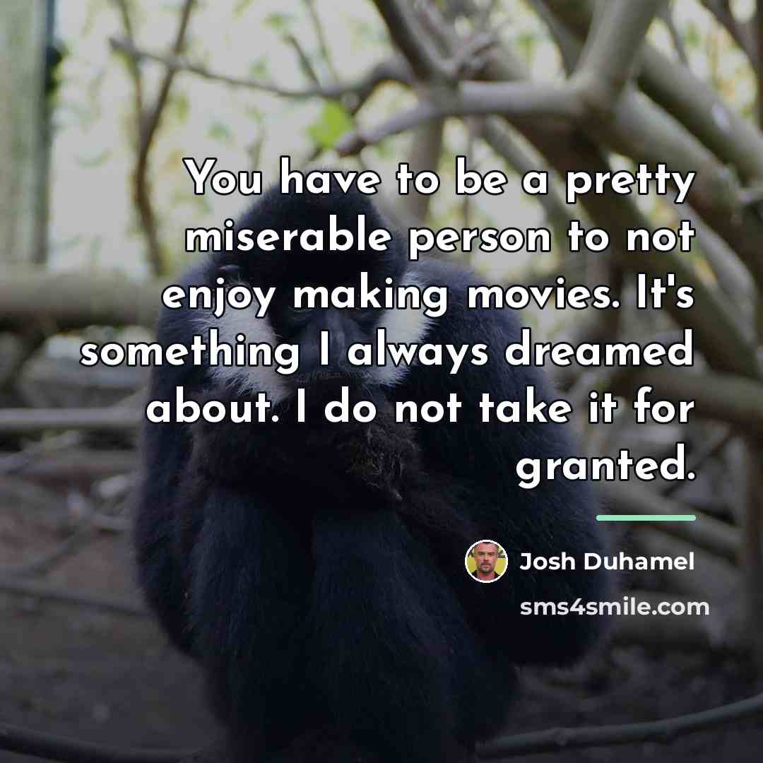 “You have to be a pretty miserable person to not…” quote by Josh Duhamel