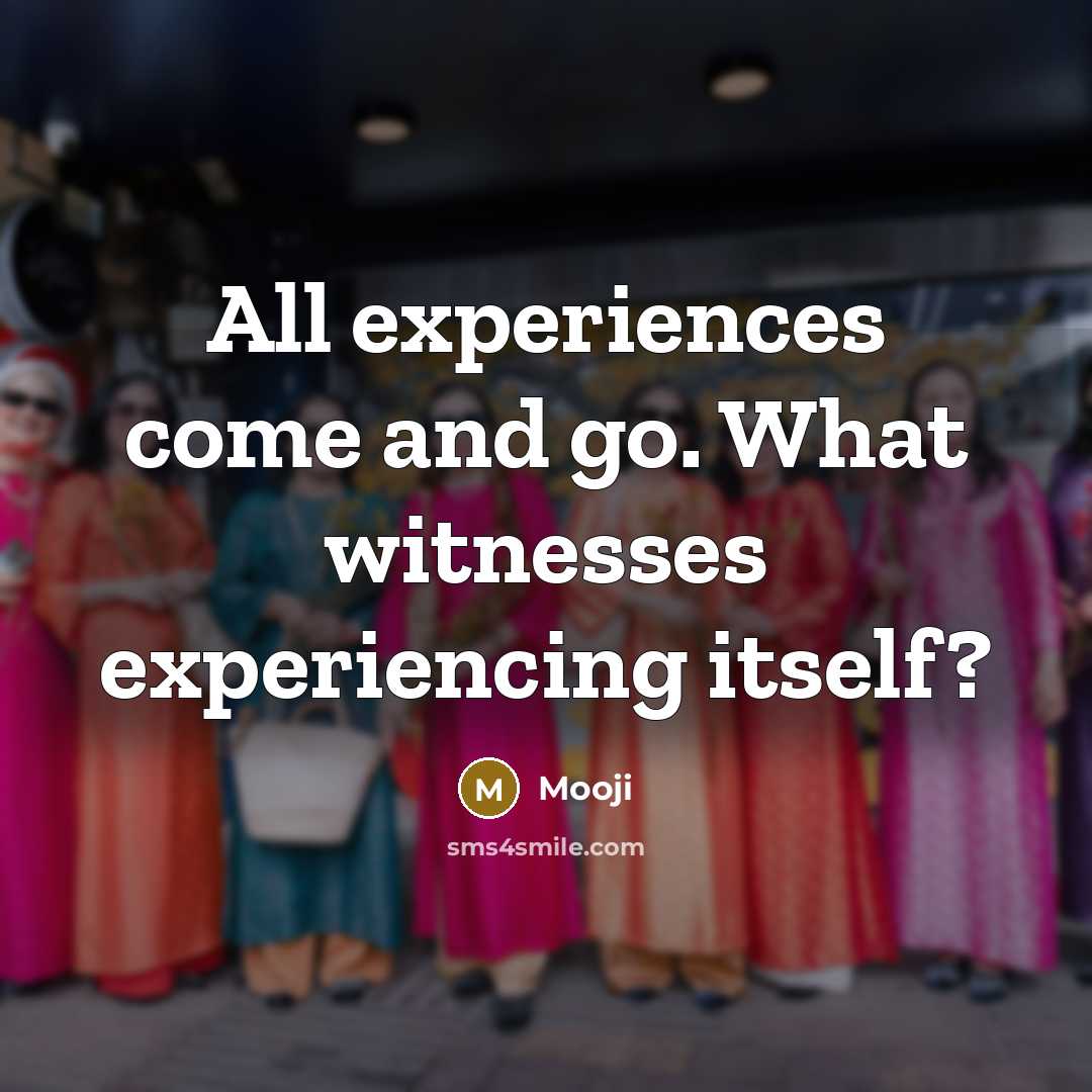 “All experiences come and go. What witnesses experiencing itself?…” quote by Mooji