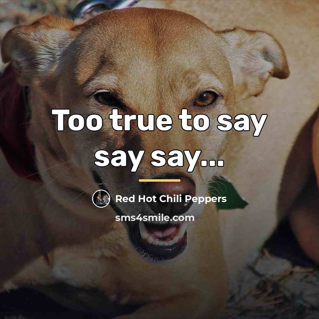 “Too true to say say say...…” quote by Red Hot Chili Peppers