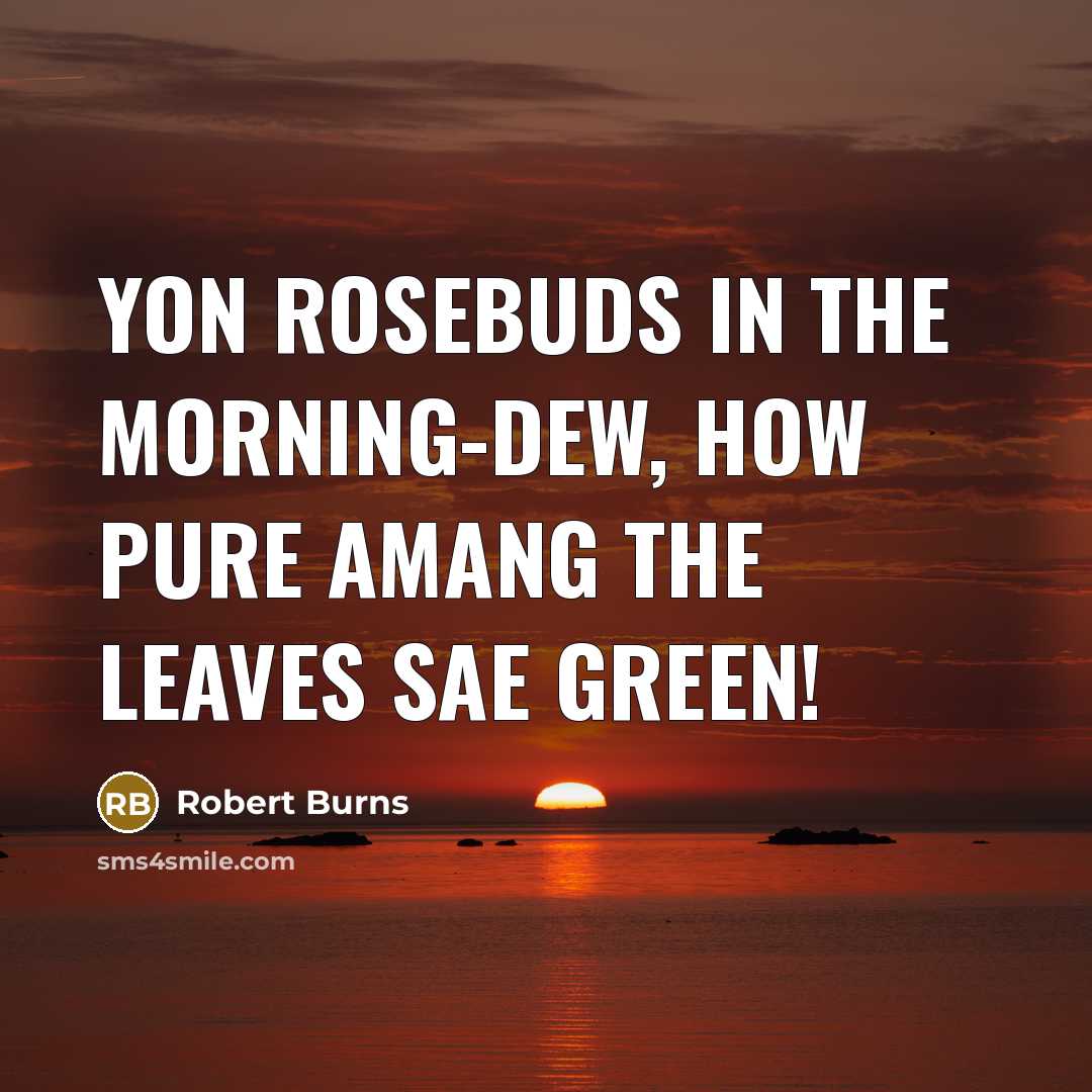 “Yon rosebuds in the morning-dew, how pure amang the leaves…” quote by Robert Burns