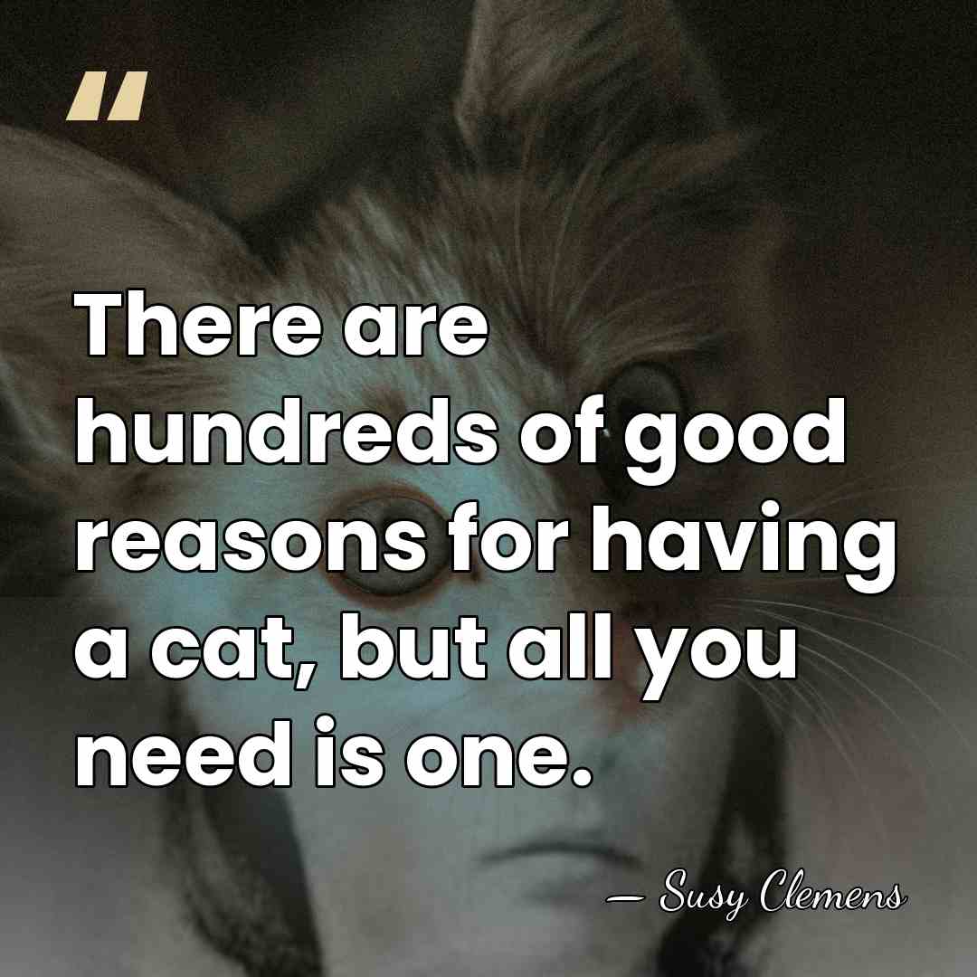 There are hundreds of good reasons for having a cat, but all&hellip; - Susy Clemens