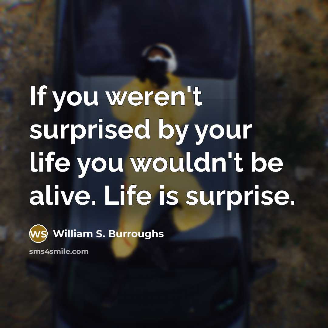 “If you weren't surprised by your life you wouldn't be…” quote by William S. Burroughs