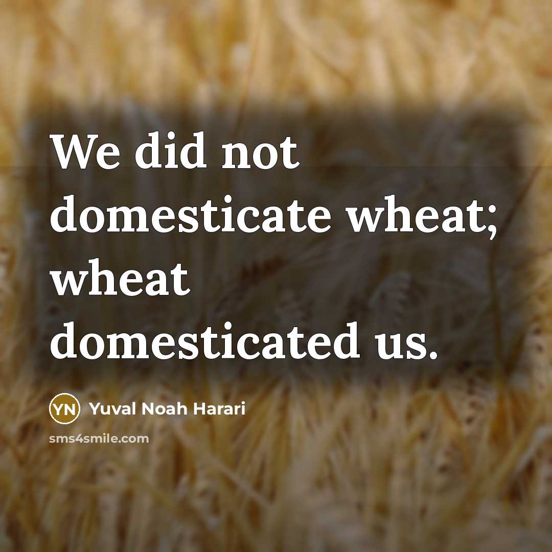“We did not domesticate wheat; wheat domesticated us.…” quote by Yuval Noah Harari