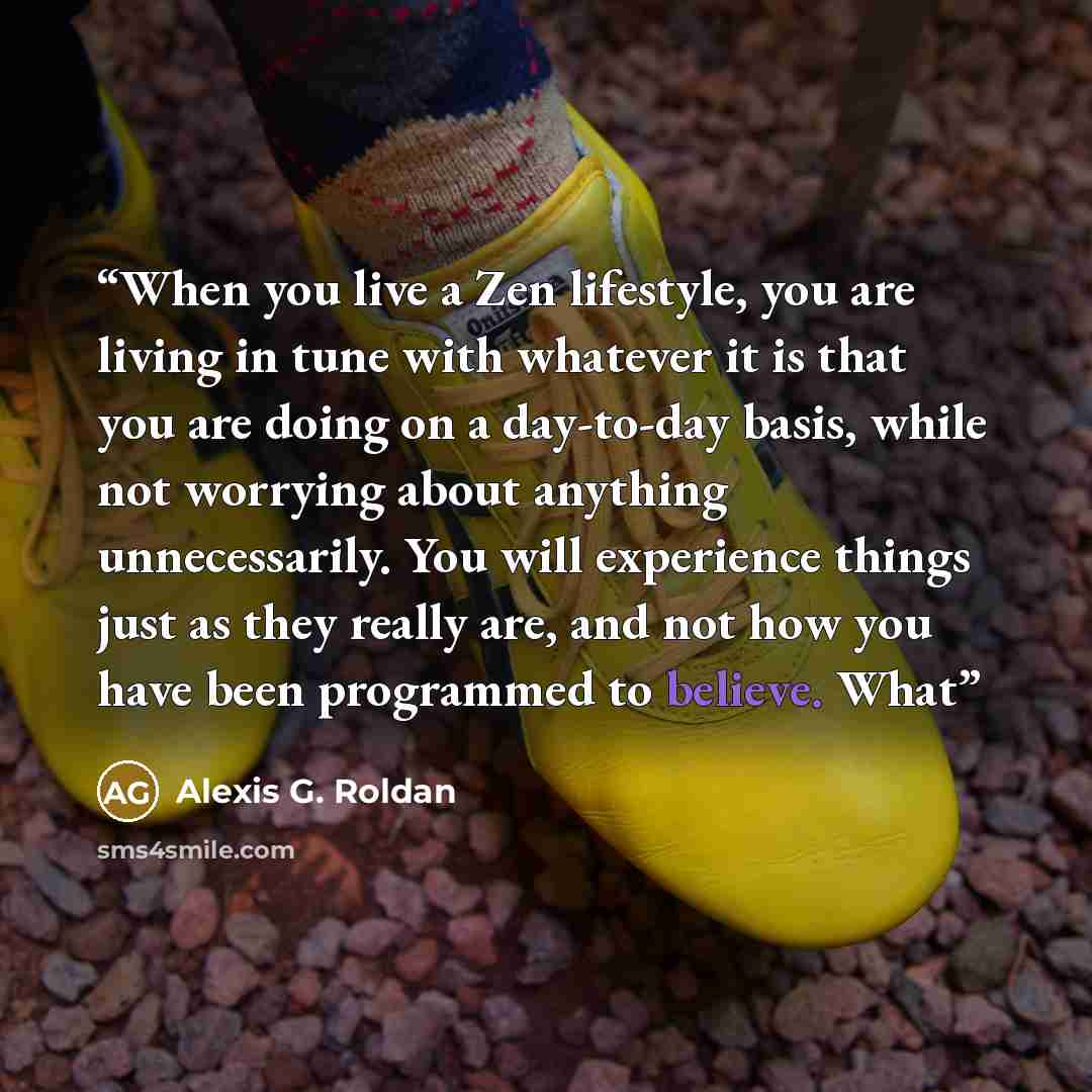 “When you live a Zen lifestyle, you are living in tune with whatever it is that you are doing on a day-to-day basis, while not worrying about anything unnecessarily. You will experience things just as they really are, and not how you have been programmed to believe. What” quote by Alexis G. Roldan