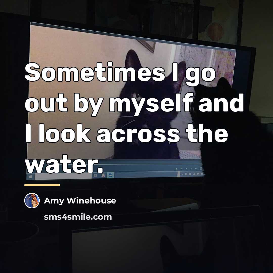 “Sometimes I go out by myself and I look across…” quote by Amy Winehouse