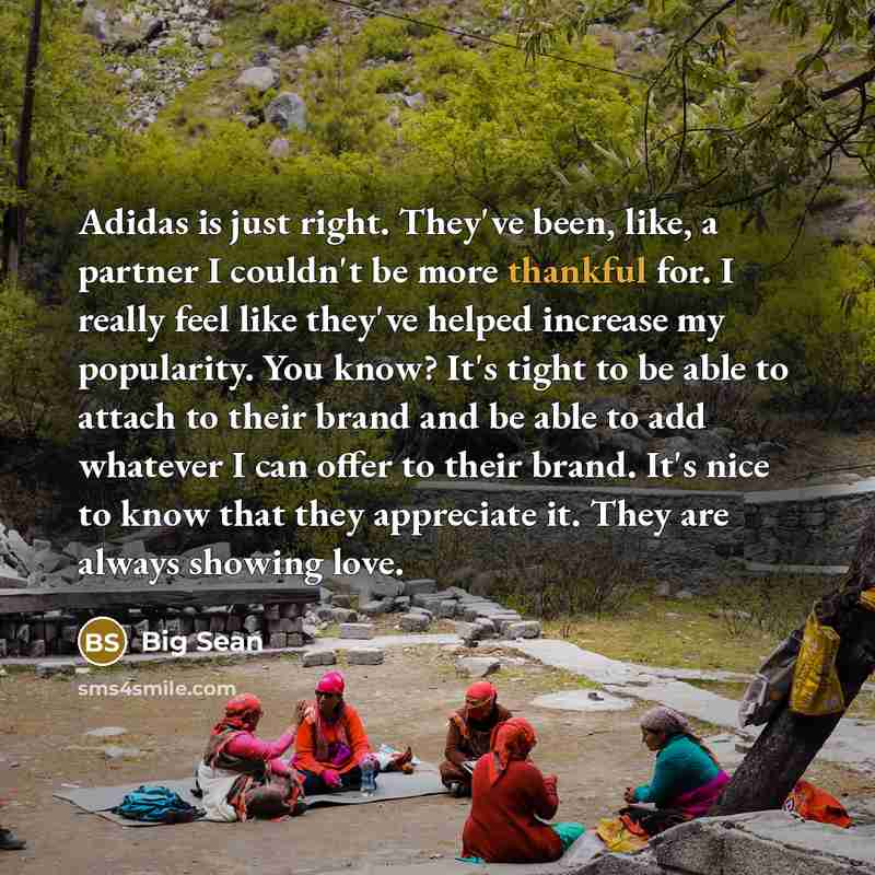 “Adidas is just right. They've been, like, a partner I…” quote by Big Sean