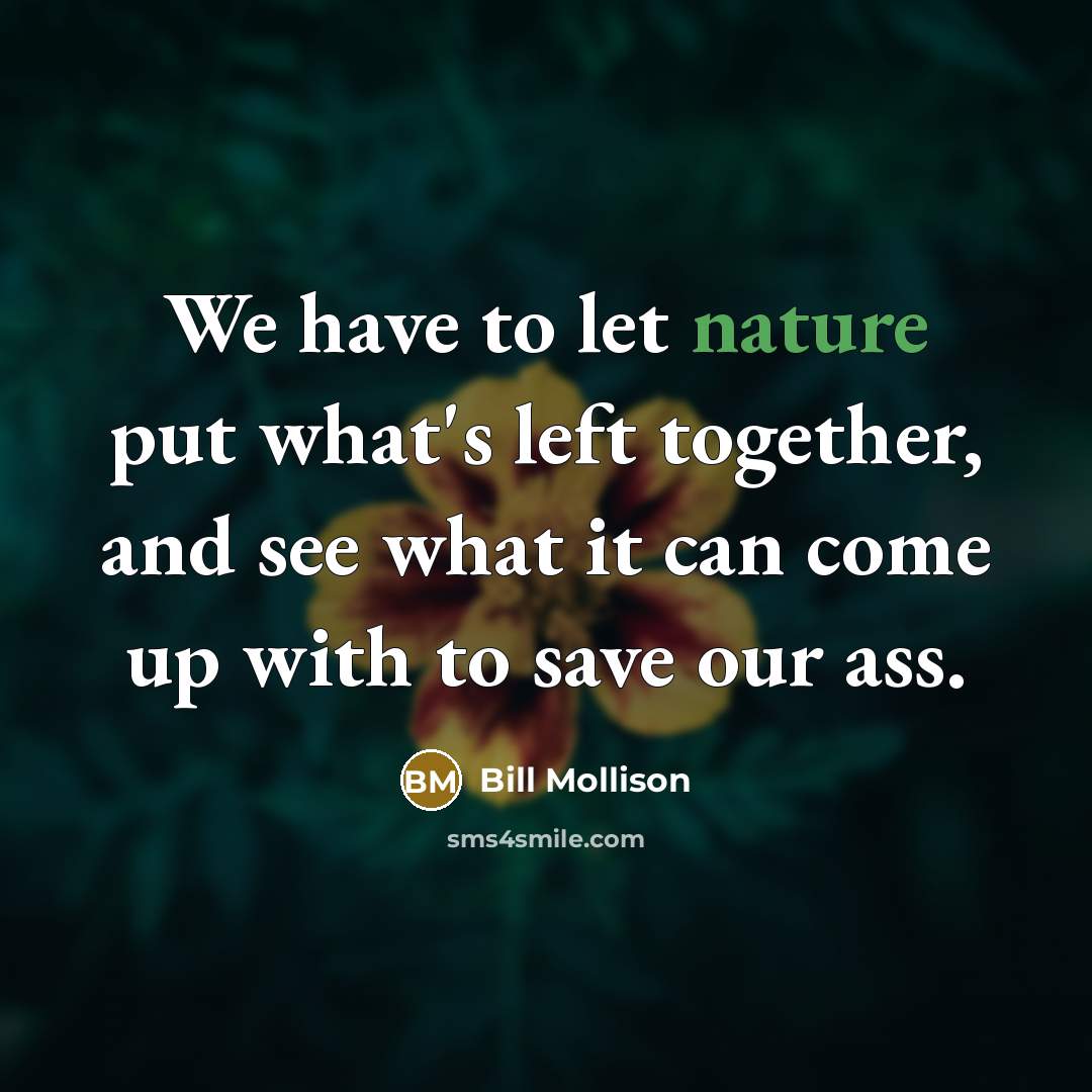 “We have to let nature put what's left together, and…” quote by Bill Mollison