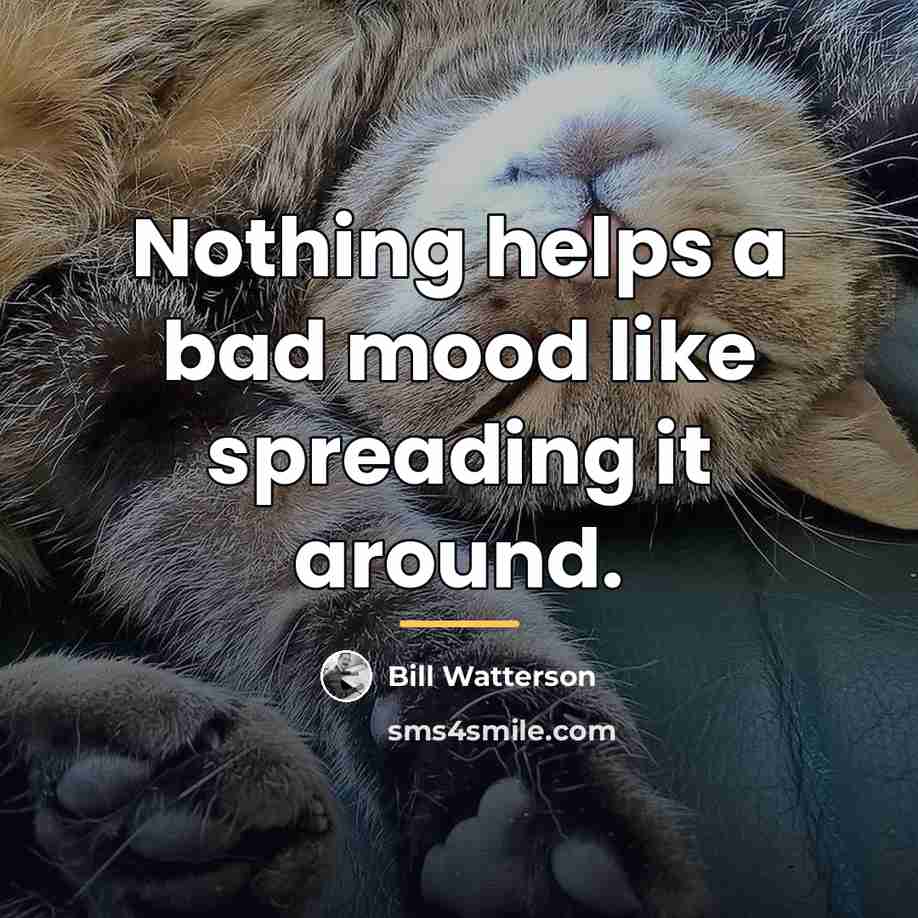 “Nothing helps a bad mood like spreading it around.…” quote by Bill Watterson