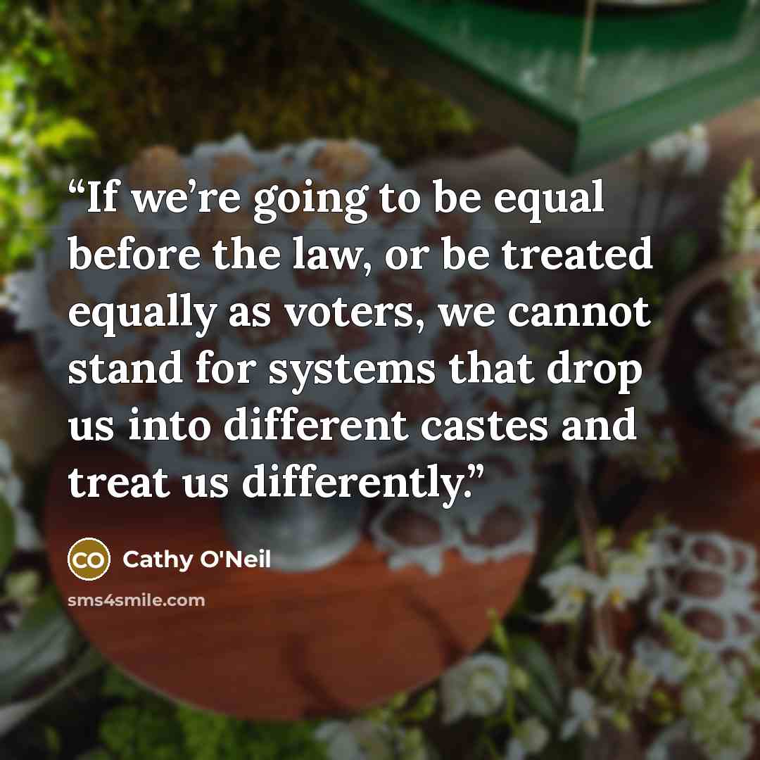 “If we’re going to be equal before the law, or be treated equally as voters, we cannot stand for systems that drop us into different castes and treat us differently.” quote by Cathy O'Neil
